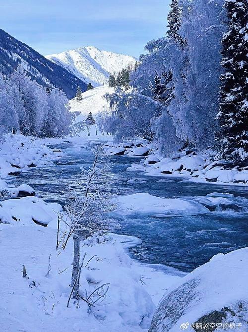 上联：林间落叶铺金毯，诚邀下联大地盖雪披银装