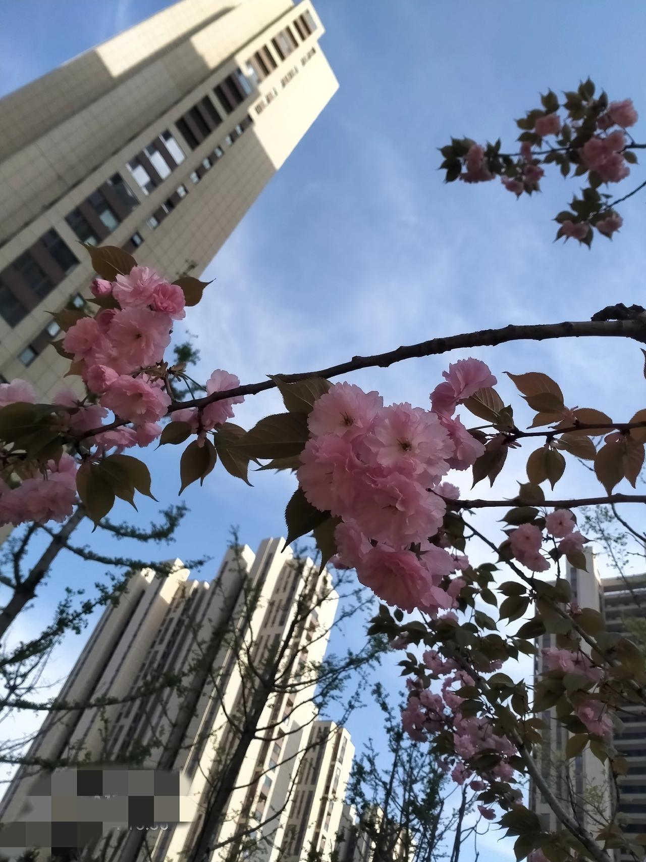 随手拍一张天空照今天的天气真好看景美如画