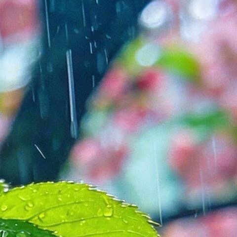 日行一善  💫阳光信用  💫﻿日行一善 生活不能等别人来安排，要自已去争取和