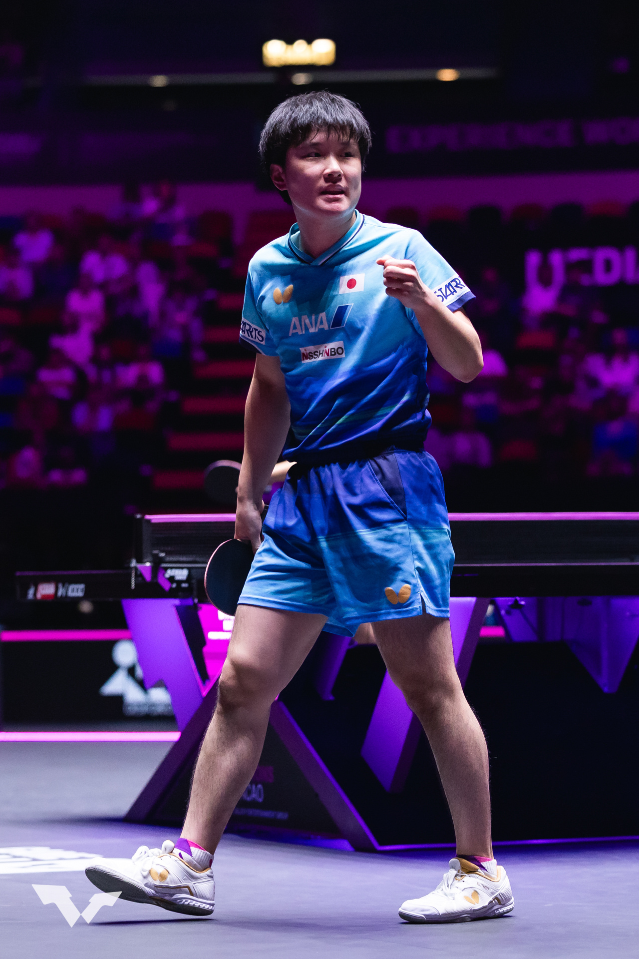 张本智和张本智和wtt澳门冠军赛2026 男单QF图集📷cr.WTT 