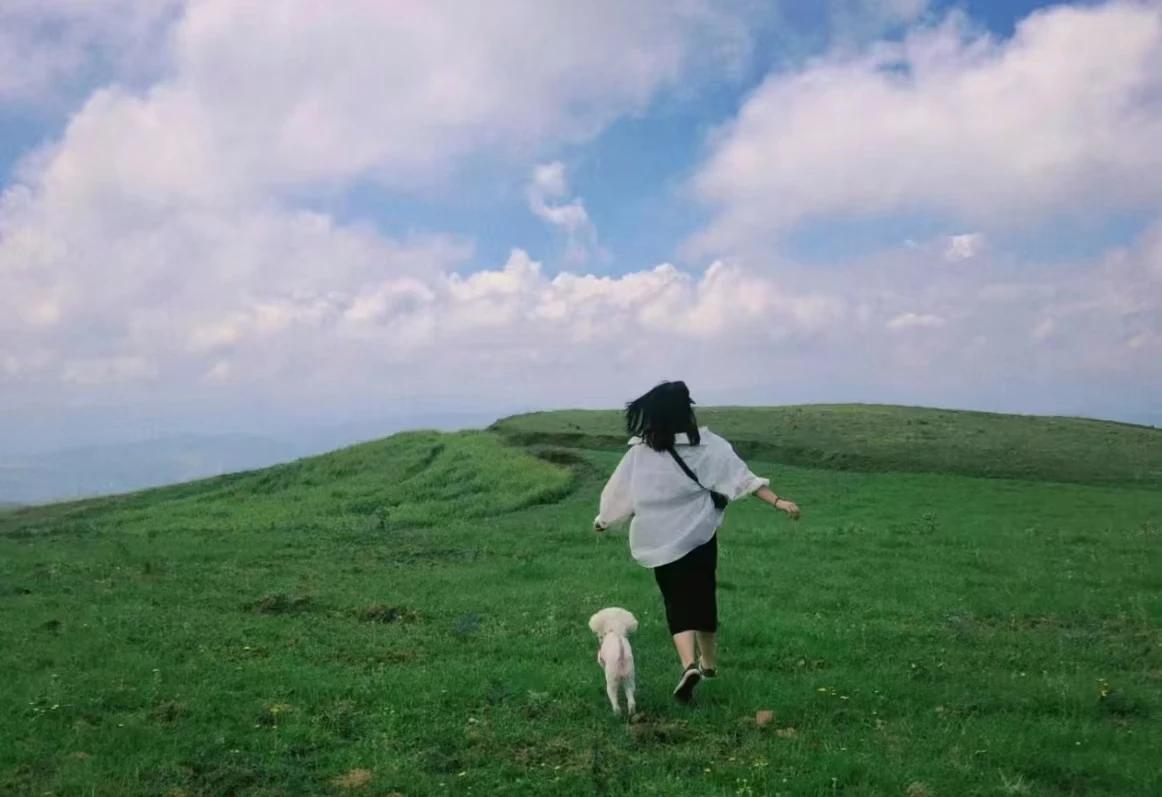所有的事情，除了生死都是不值一提的。天大的事，只要顺其自然也不过如此；再小的事，