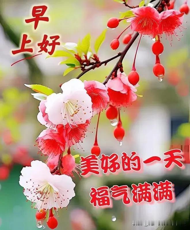 早安问候暖心房，
相互牵挂心连心；
但愿彼此都健康，
幸福快乐每一天。