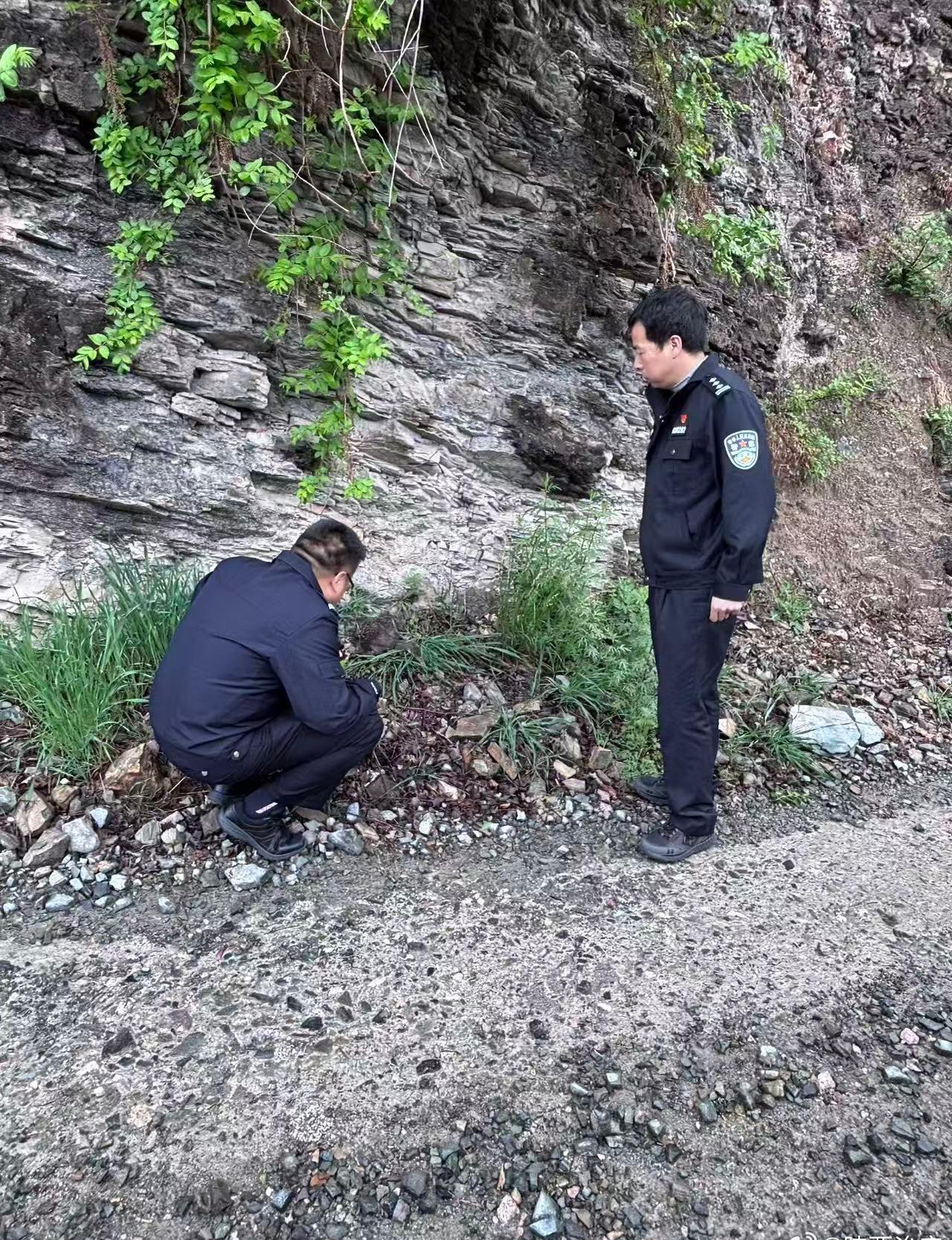 【暖心救助野生动物  传递生态保护温情】2026年6月8日下午17时，商洛柞水环