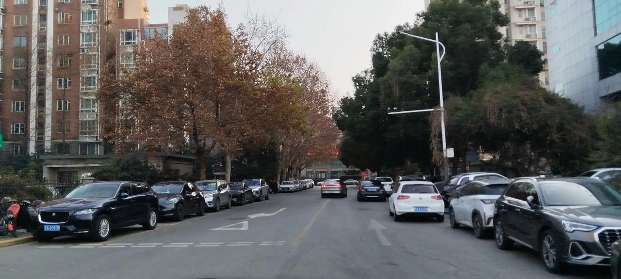 可以分享一张秋景树叶的照片吗