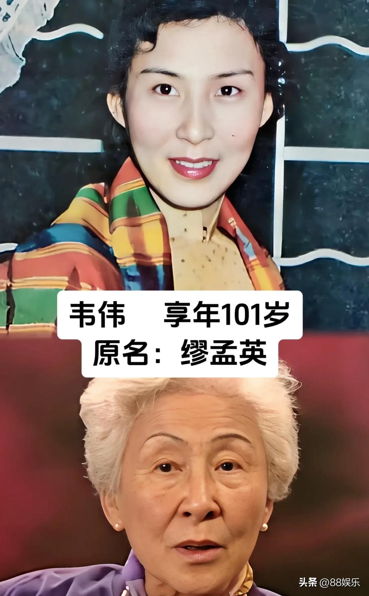 国宝级老电影艺术家合集，认识一半的都不年轻了！