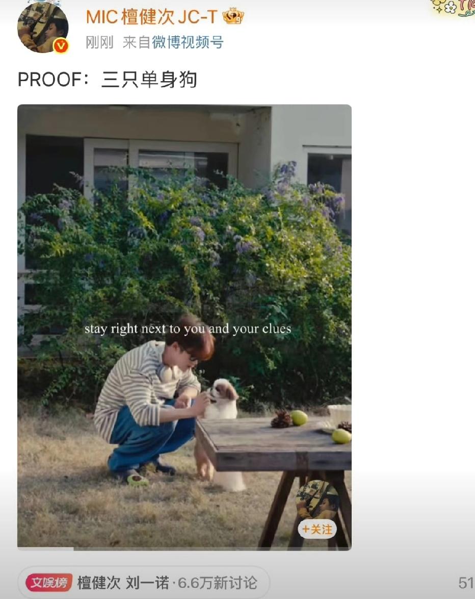 三只单身狗 就这个硬刚爽！哈哈真是没招了，三只单身狗，听懂的已经泪流满面了，老实