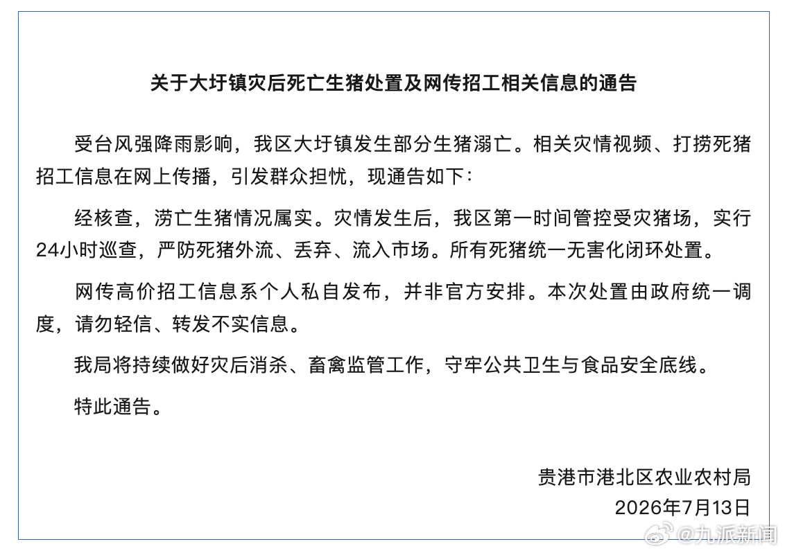 #贵港打捞死猪招工非官方安排#【#贵港官方通报涝亡生猪处置情况#：涝亡生猪情况属