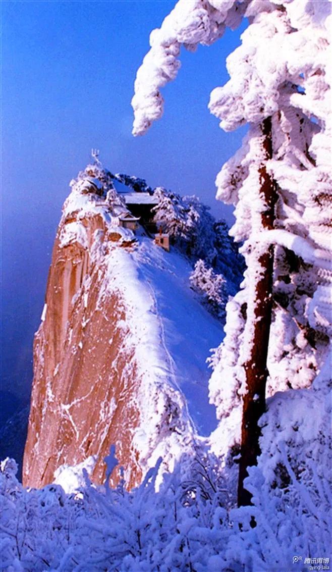 银世界
玉砌银妆风袅娜，
天外夜来飞雪花。
独凝望眼尘寰净，
人间一夜银世界。