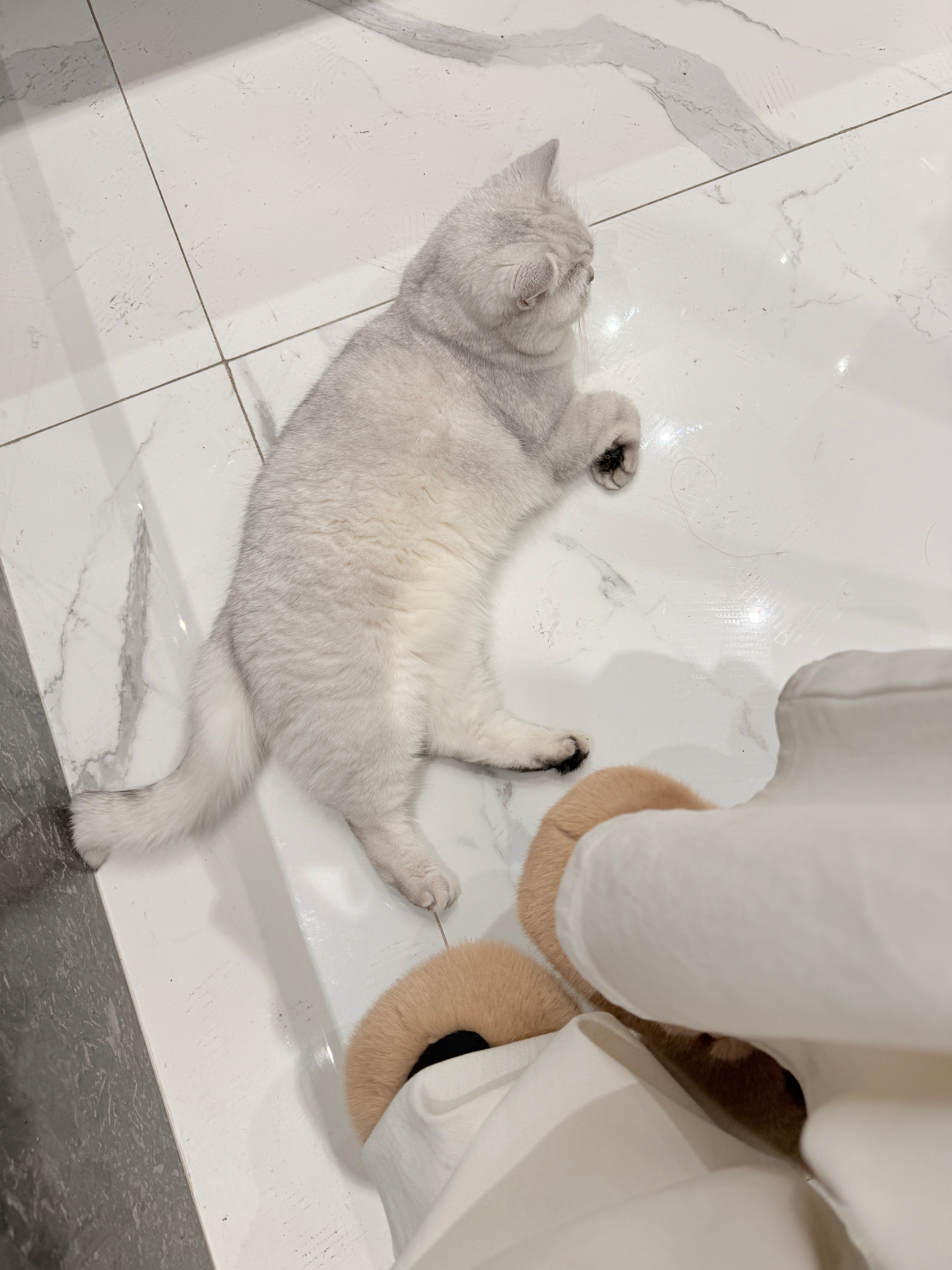 厕所守卫员：烤冷面大使 