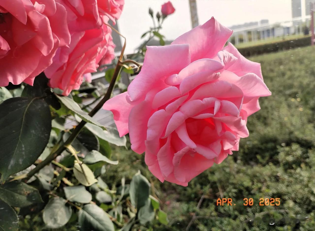 迎来三秦四季。