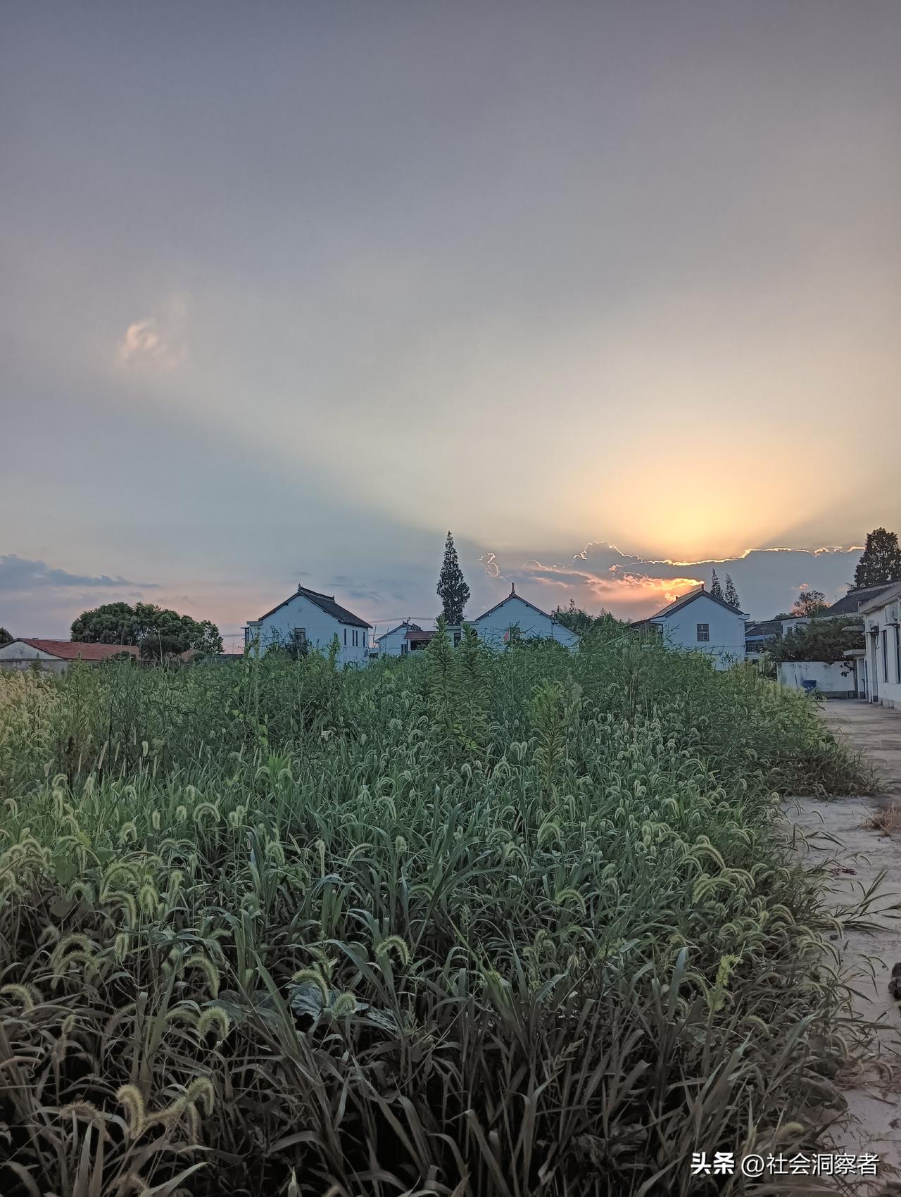 一句话说清幸福：原来我们都找错了方向
 
总有人问我：幸福到底是什么？
 
是赚