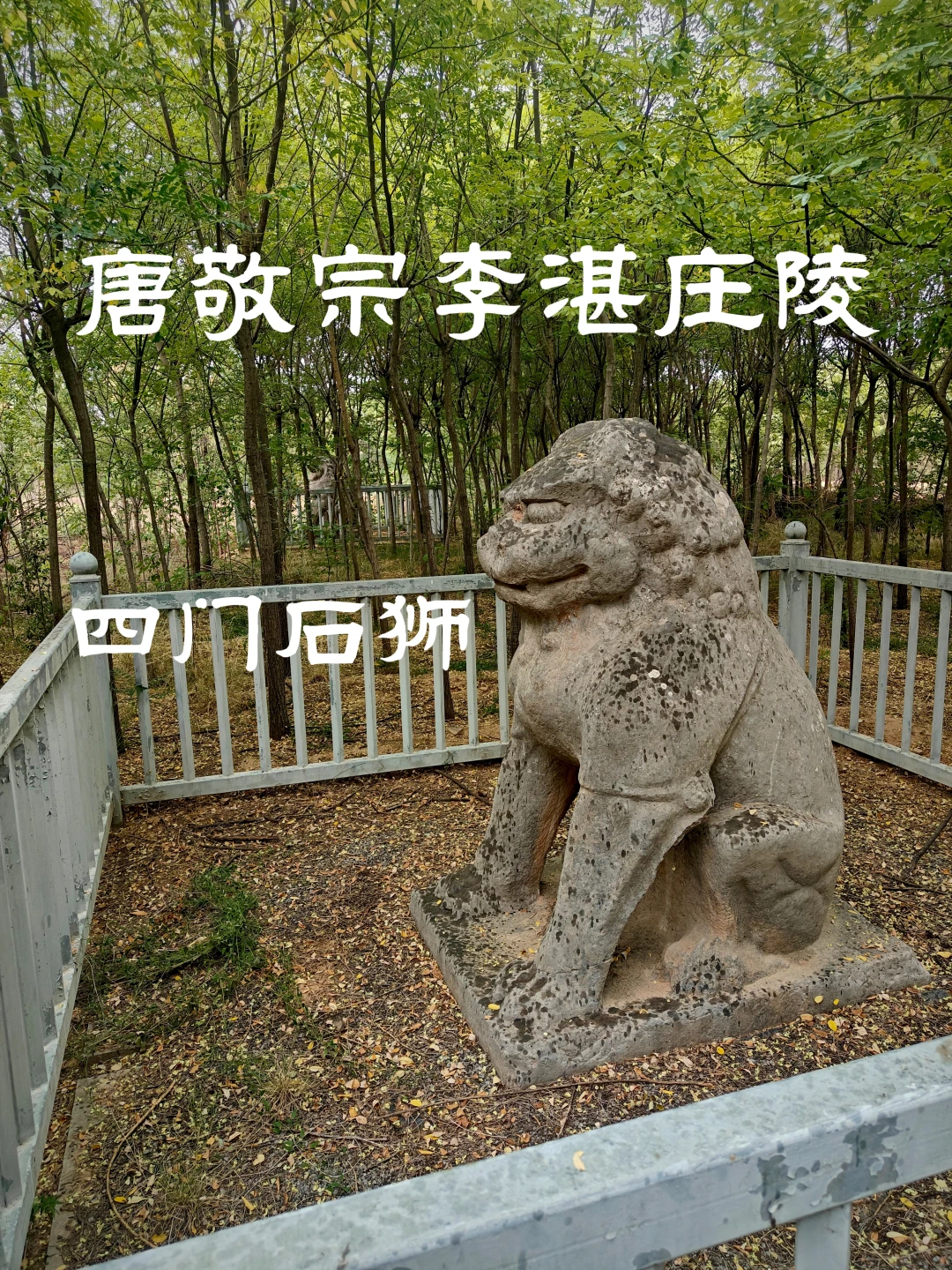 唐敬宗李湛庄陵四门石狮