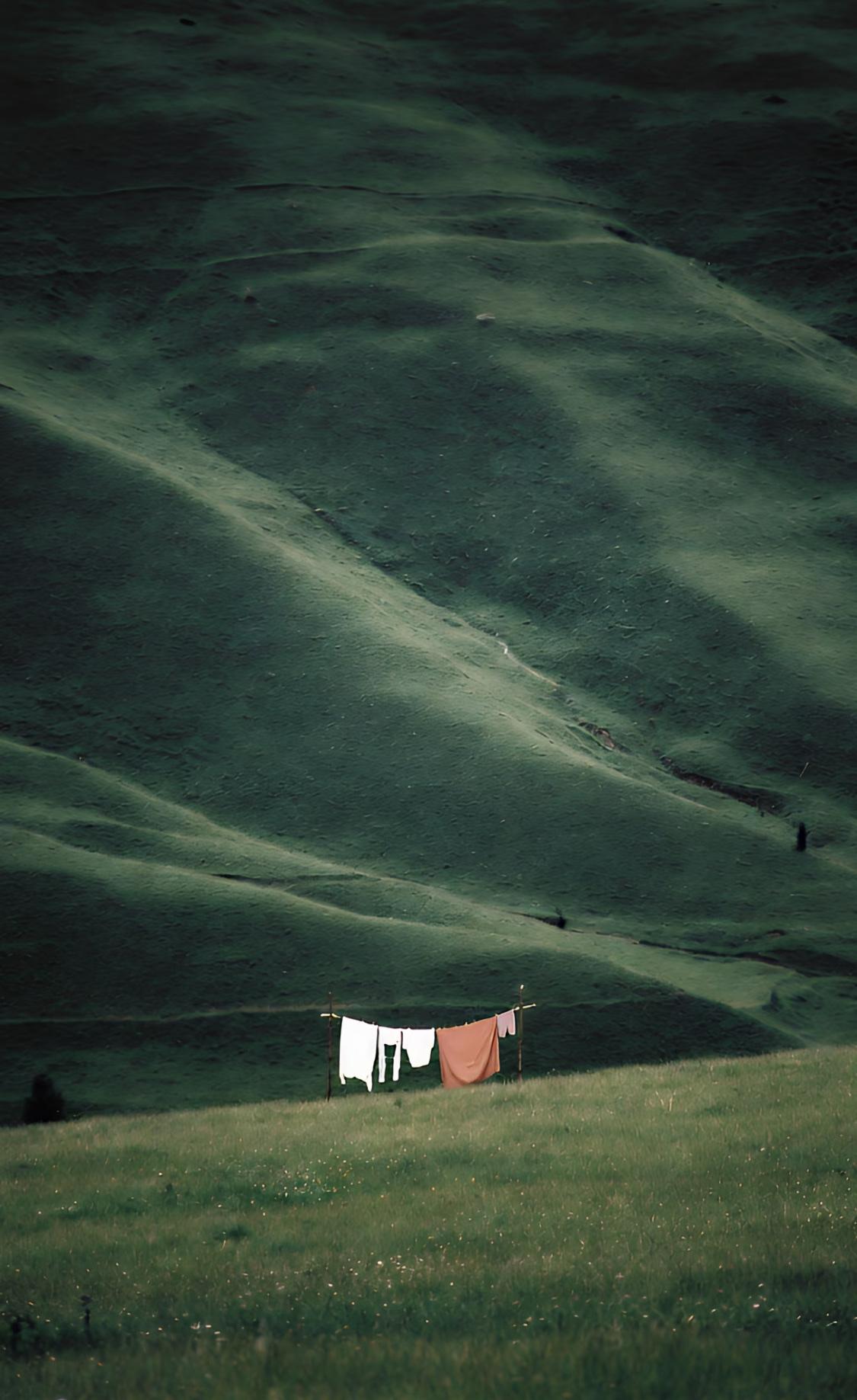 人一定要大量读书！

我发现长期读书的人都有一个共性：

在生活的起落中，总能保