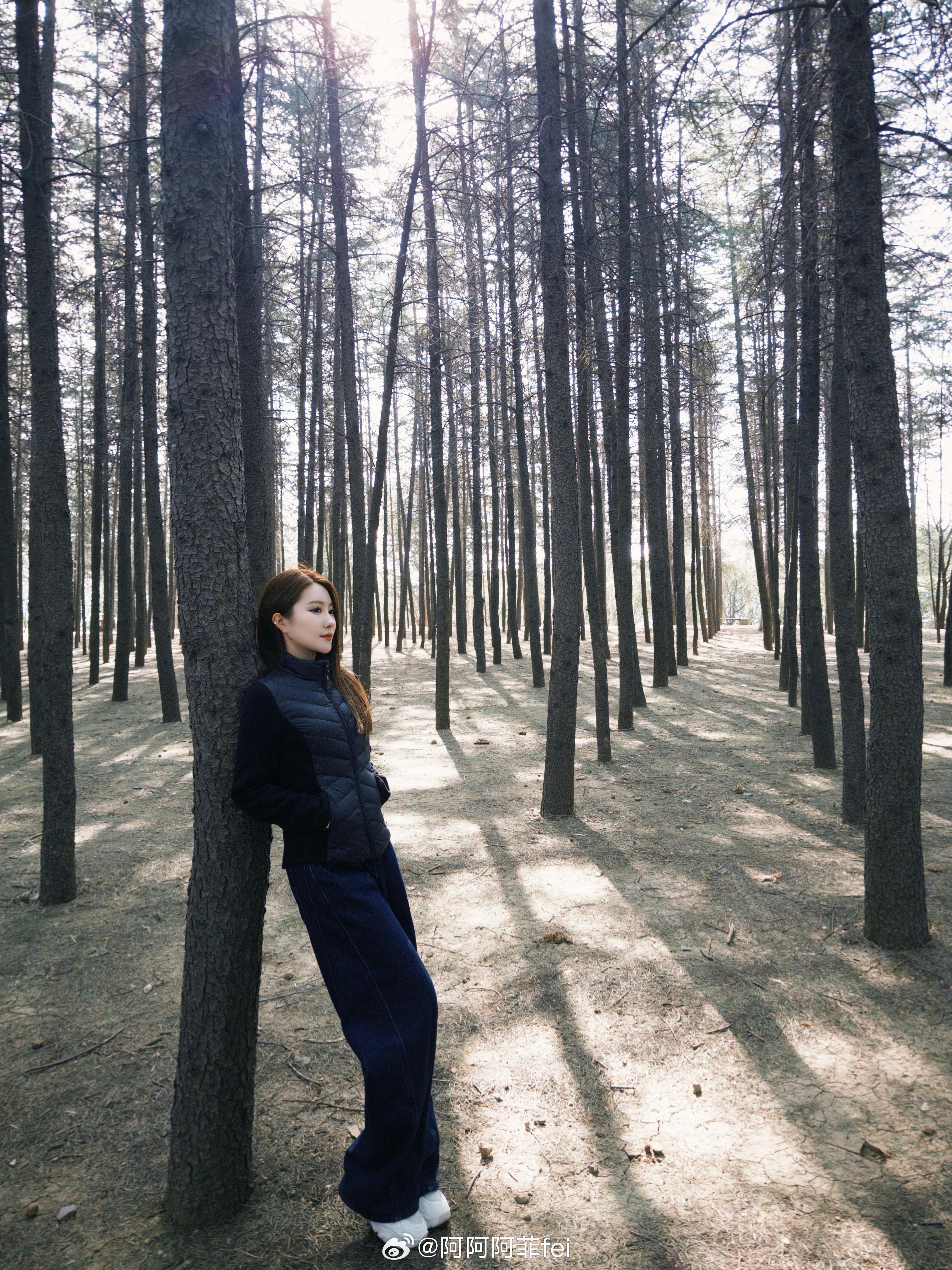 吸氧 洛阳·周山森林公园