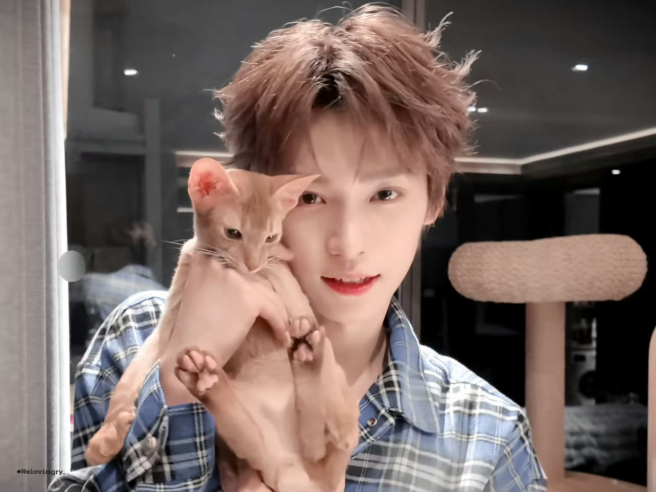 梓渝手受伤了梓渝提醒大家动手的同时也要注意安全哦 梓渝抱猫跳手势舞