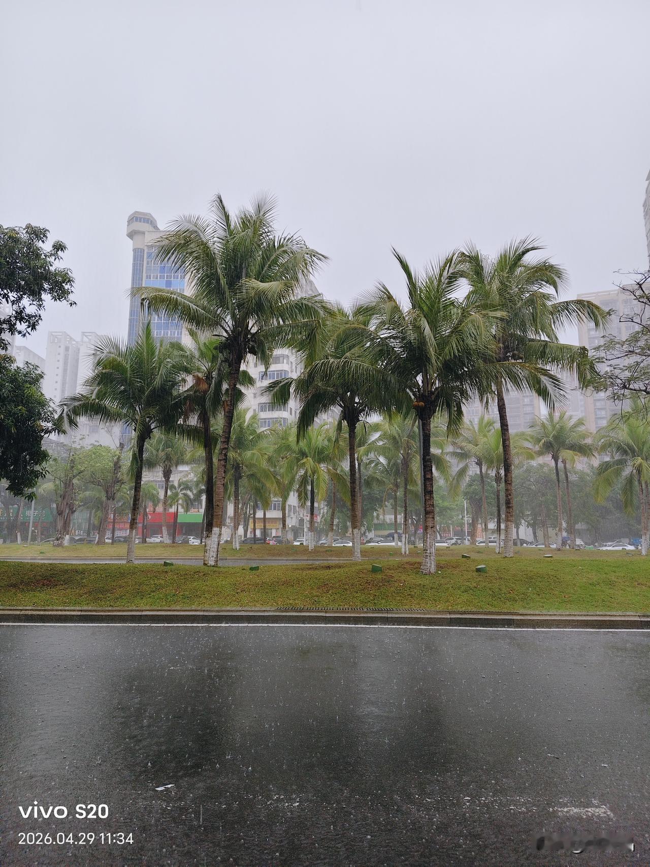 外面下大雨，我在路上从家里步行几百米，到废品收购站，卖了图三的废品。想想头条每天