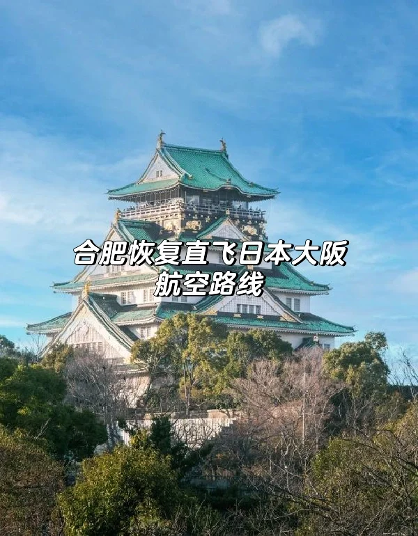合肥恢复直飞日本大阪航空路线✈️