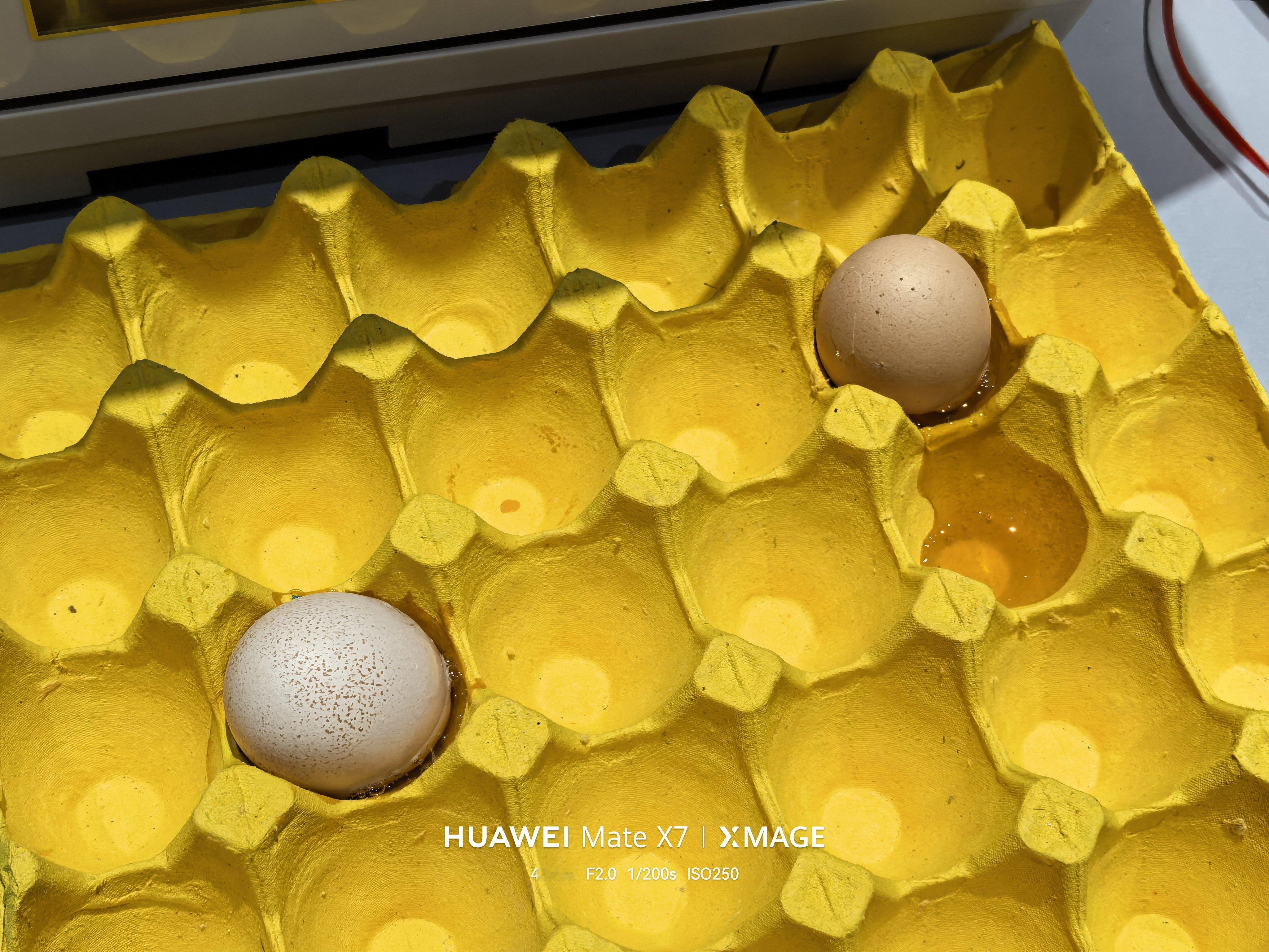 蛋碎了从丈母娘家顺的土鸡蛋，被电G给颠碎了俩，顺了这么多年鸡蛋，还是第一次颠碎，