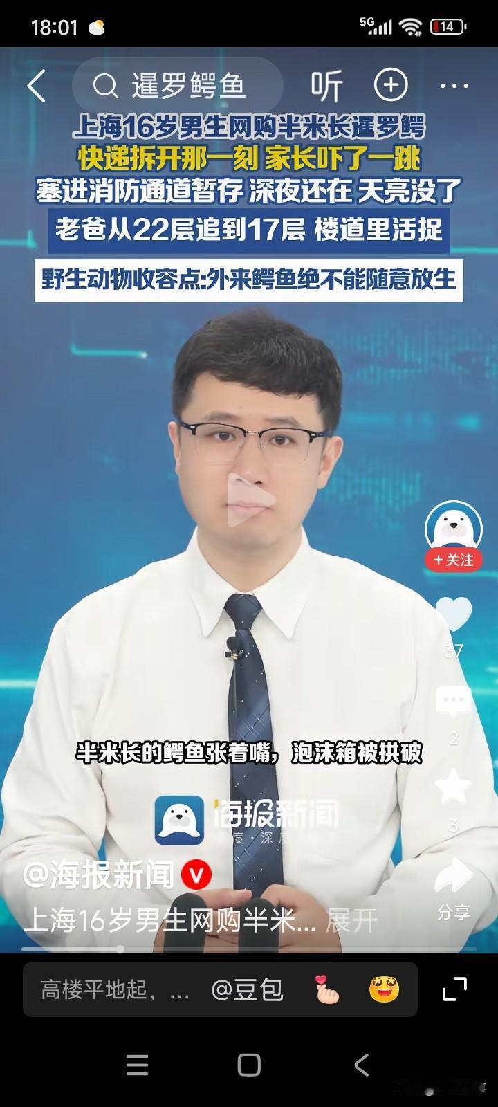 上海有个16岁的男孩，觉得养鳄鱼挺有趣，便从网上买了一条半米长的鳄鱼。
收到鳄鱼