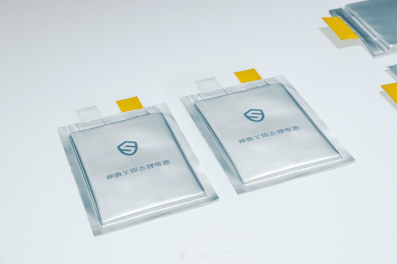 吉利将发布新一代“刀片式”磷酸铁锂电池
吉利将在6月底发布发布吉利自研自产的新一