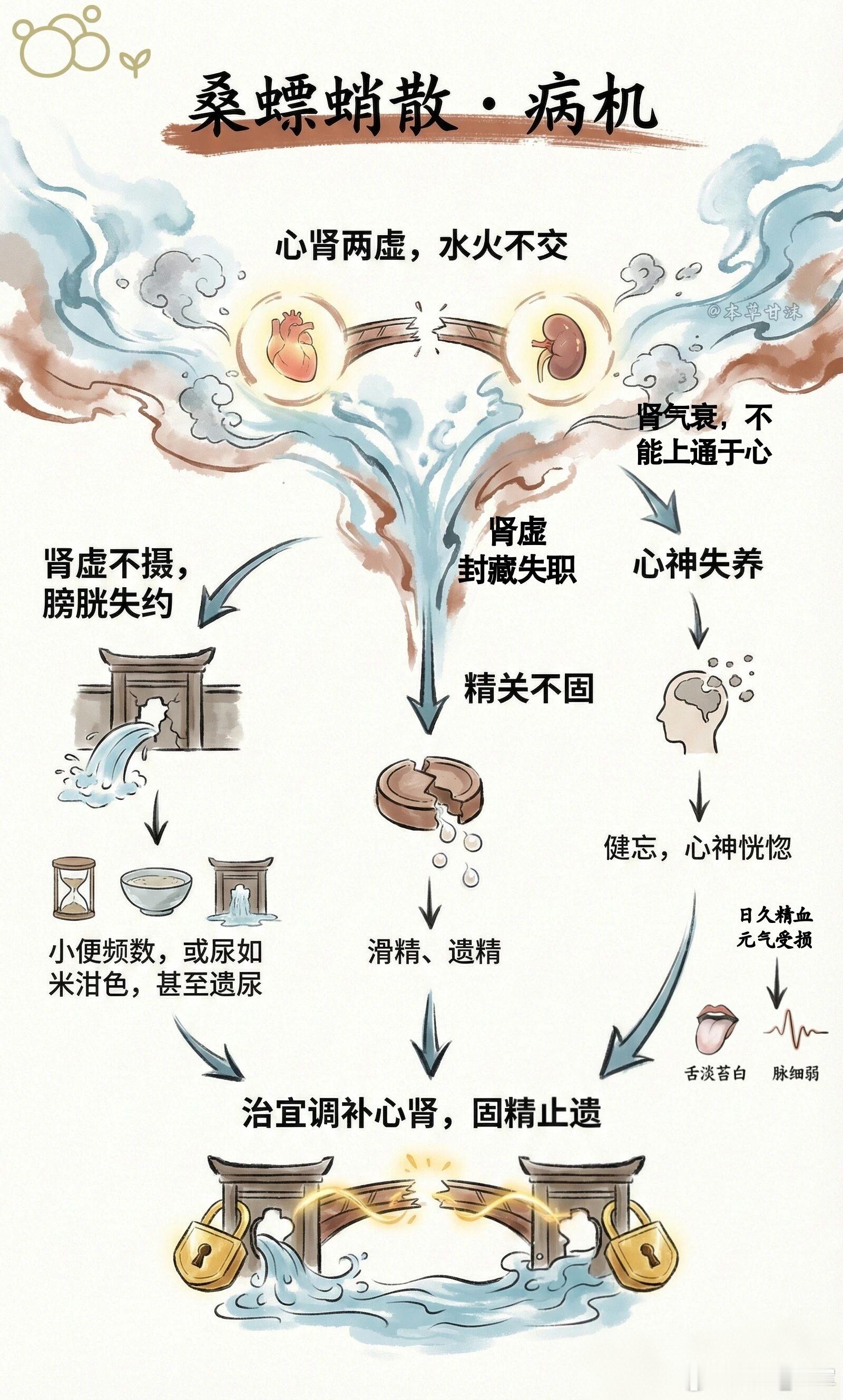 桑螵蛸散方证由心肾两虚水火不交所致桑螵蛸散·病机本方证由心肾两虚，水火不交所致。