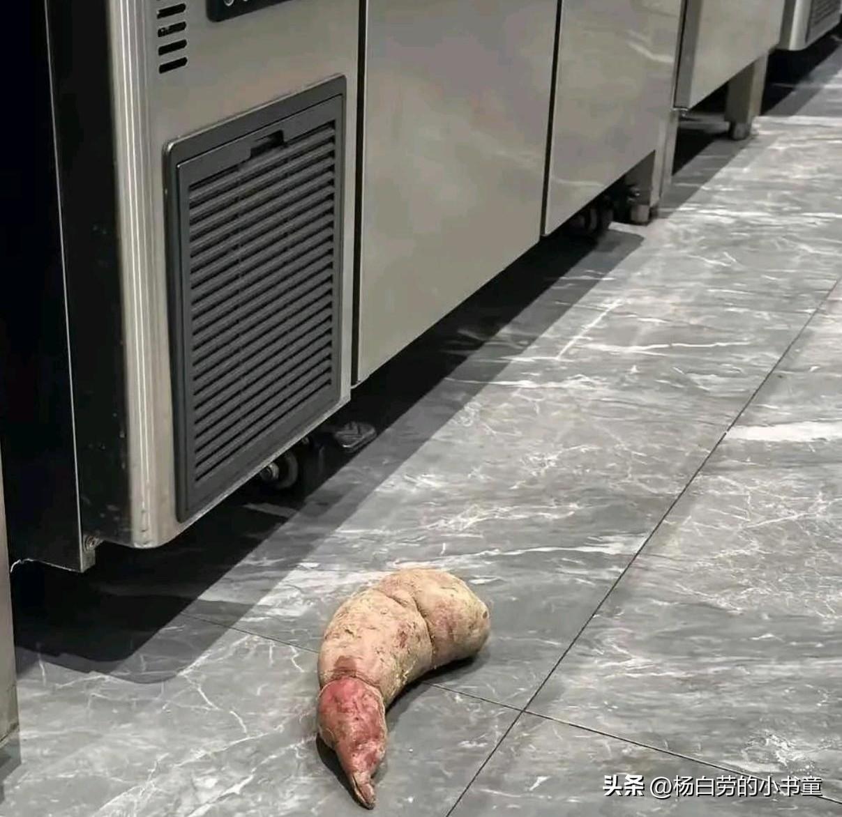 今天被这个咬到一口
担心有毒请问挂什么科？
蛇咬中毒 肿痛科 蛇咬紧急处理 带钉