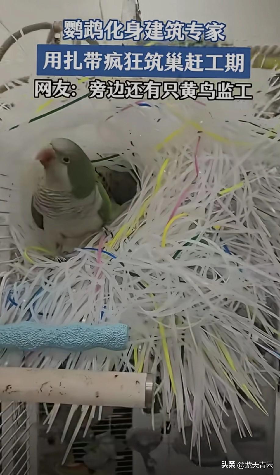 造好屋子
才好娶老婆[思考]