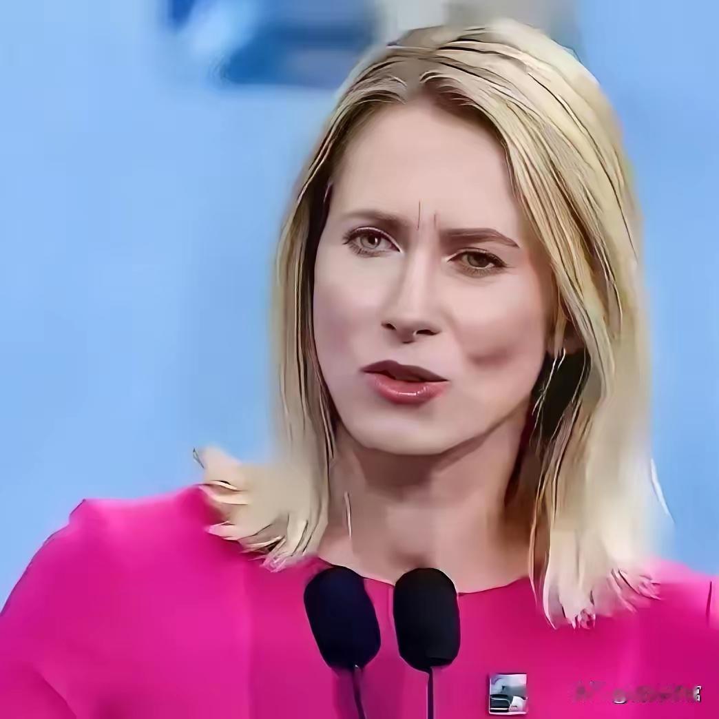 欧盟外长卡拉斯最近发表的言论再次引起争议，在该言论中，卡拉斯对于俄罗斯总统官邸遭