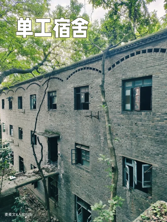 【九龙坡】人去楼空的青砖楼只剩绿植在生长