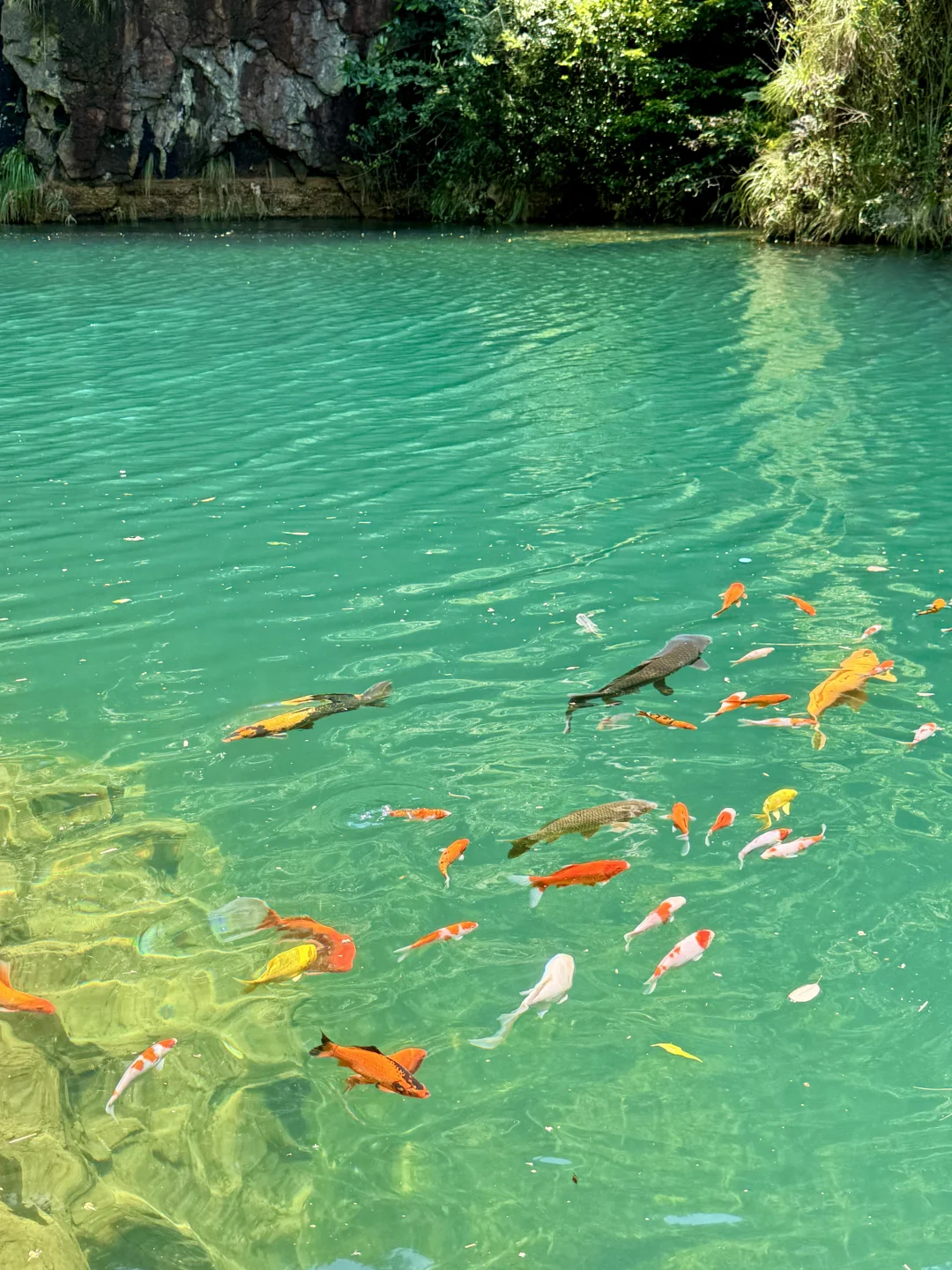 不是九寨沟！这是杭州！！3.8实拍水量大‼️