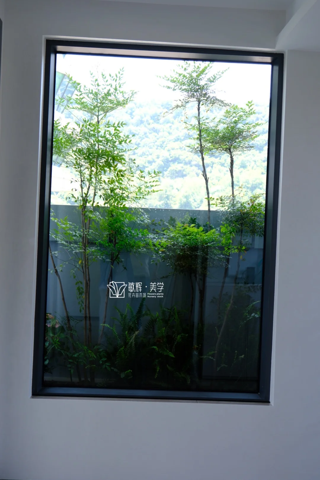 贵阳｜天然画框➕一树成景