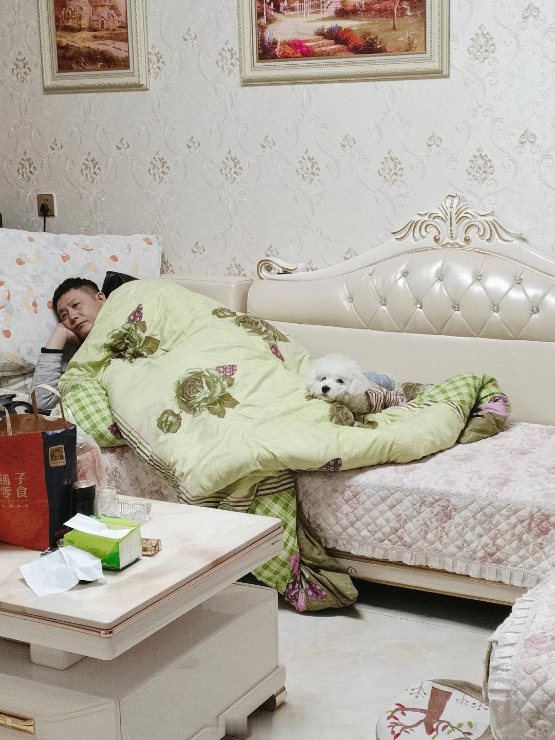 沙发简直是我爸的移动城堡张维伊这次是真的红了 （