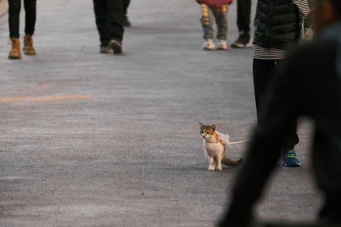 一个人身上是层层叠叠的死亡和重生。｜余秀华《摇摇晃晃的人间》 