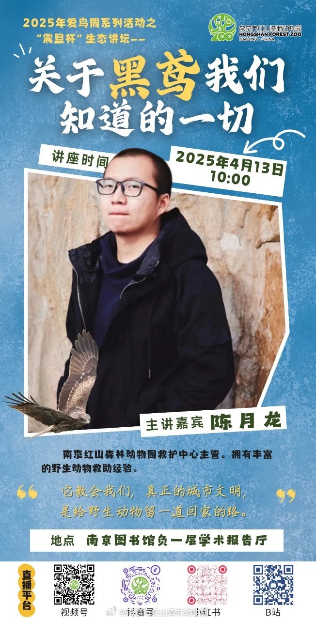 两年前，一位南京市民发现了一只落入长江的黑鸢，经过救援后被送至红山森林动物园野生