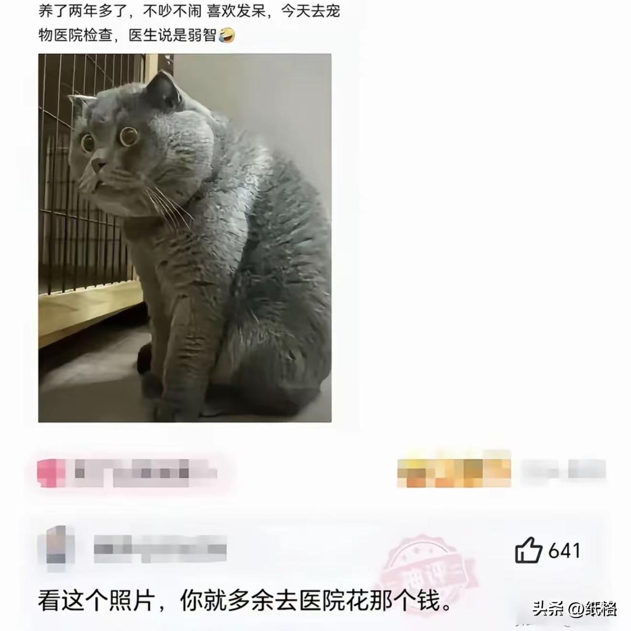 有些事儿就不用去医院测，一般人看一眼就能知道个八九不离十。
这个大肥猫这智慧的眼
