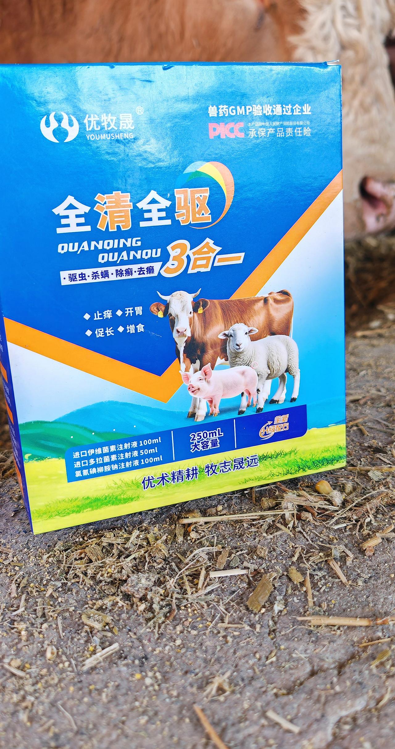 养羊人 农村养羊