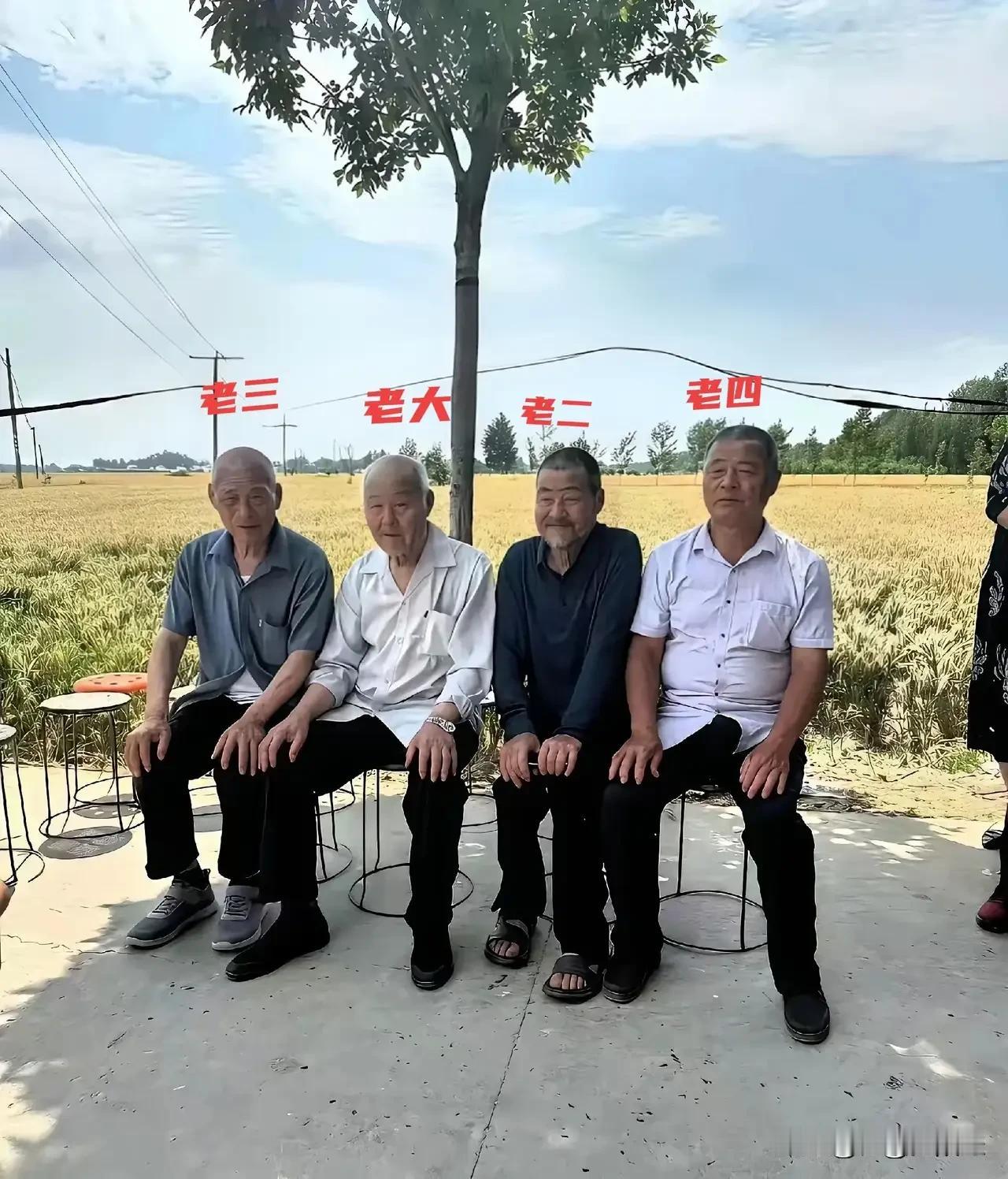 四位老人家本是一奶同胞，命运却各不相同。其中一位是四人中地位最上层的国家公务员退