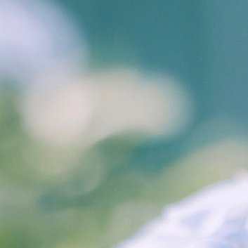 每日一善‎每日一善 ‎阳光‎信用 曾经的梦想，总在走走停停的日子里渐行渐远渐无言