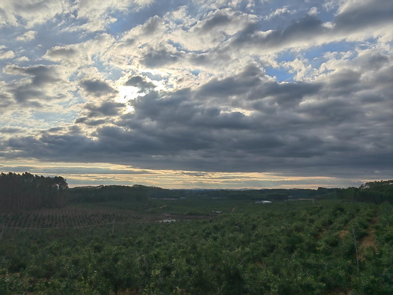 傍晚的天空总是藏着无尽的浪漫。前几天傍晚散步时，我随手拍了张天空的照片。照片里，