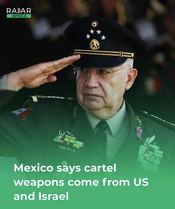 墨西哥国防部长里卡多·特雷维拉·特雷霍将军表示，本届政府执政期间，从犯罪集团缴获