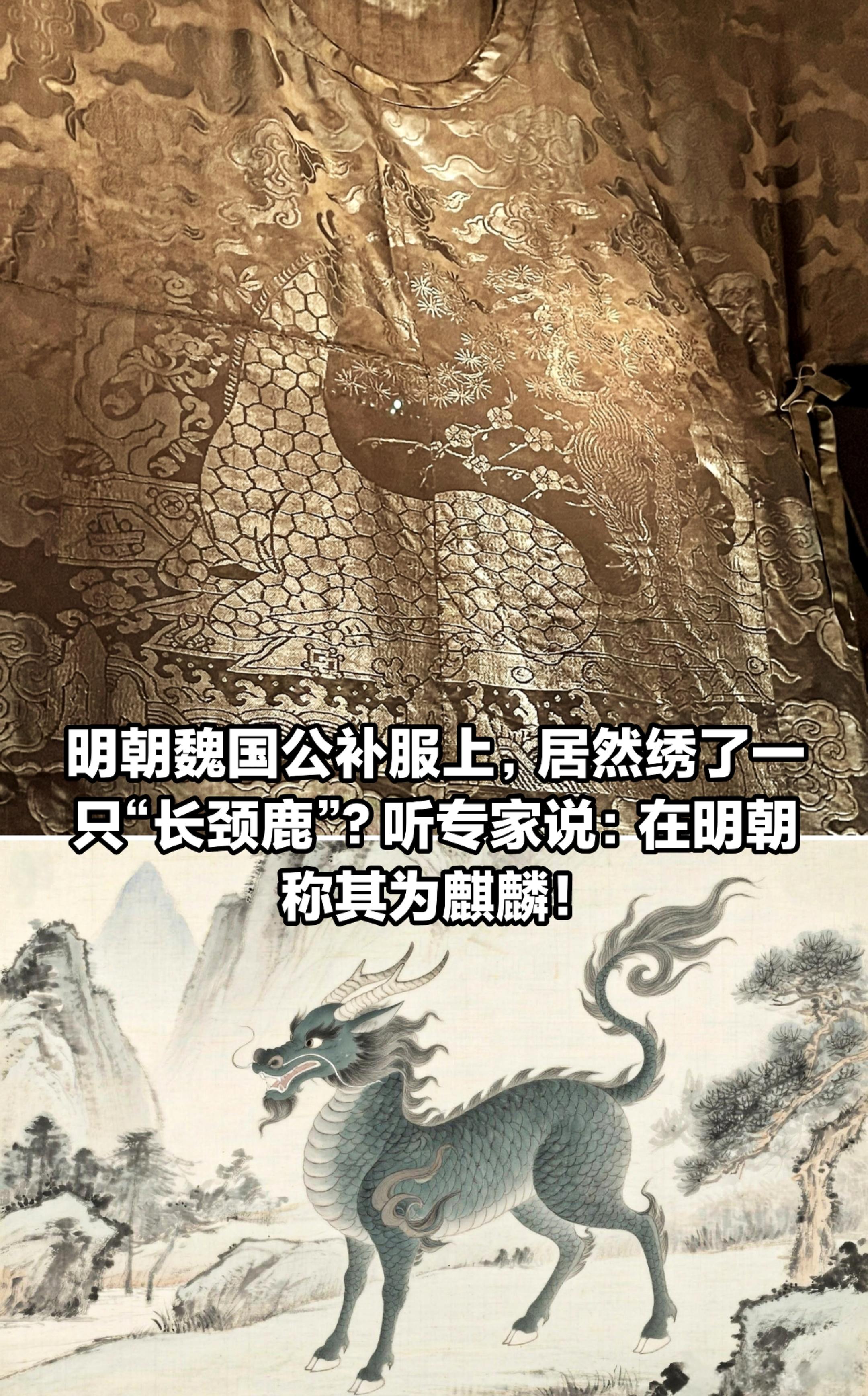 明朝魏国公补服居然绣了一只“长颈鹿”？