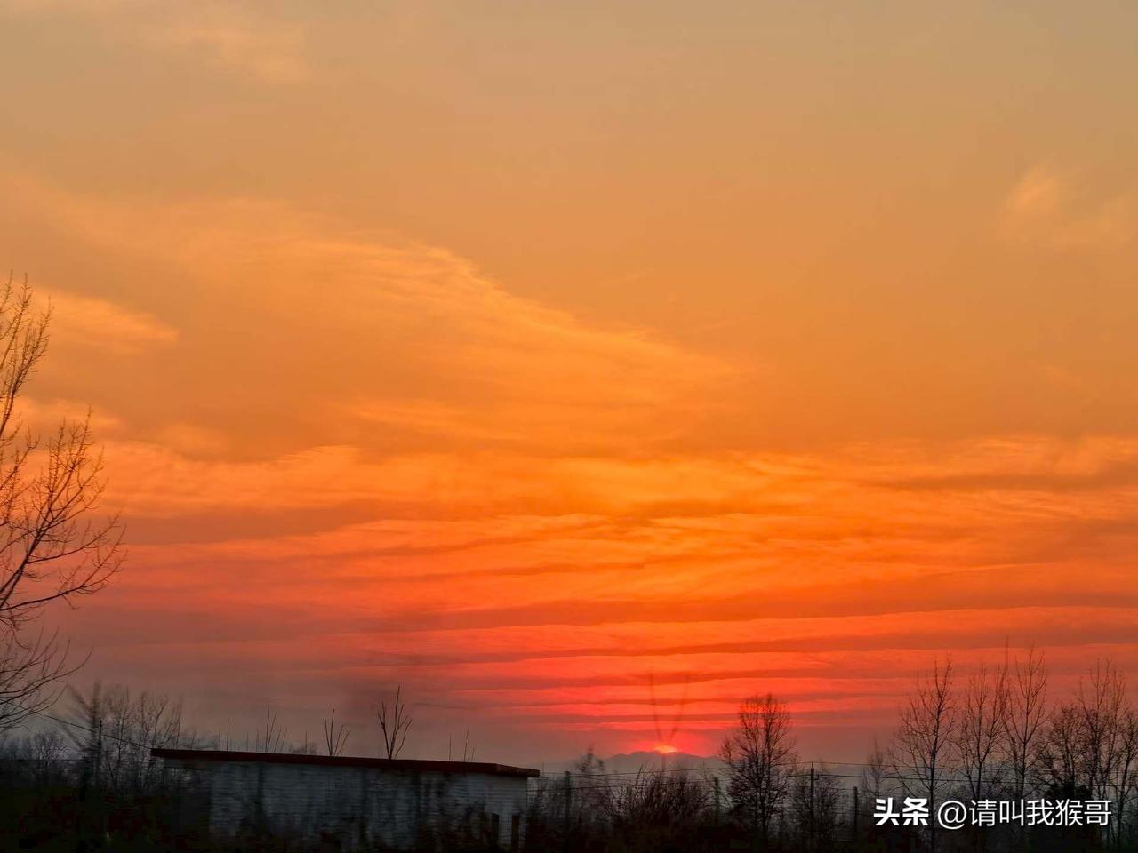 天南地北大拜年复岗之前的最后一次旅游