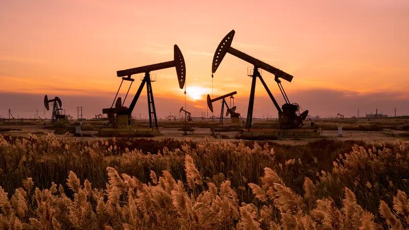 今天看到有个网友爆料他买的中石油从48块钱的高高的山顶上，站到了今天。

整整十