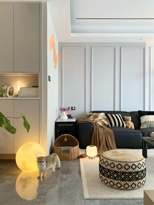 谁懂啊！！一人一猫🐈的独居生活太爽啦🥳🤪