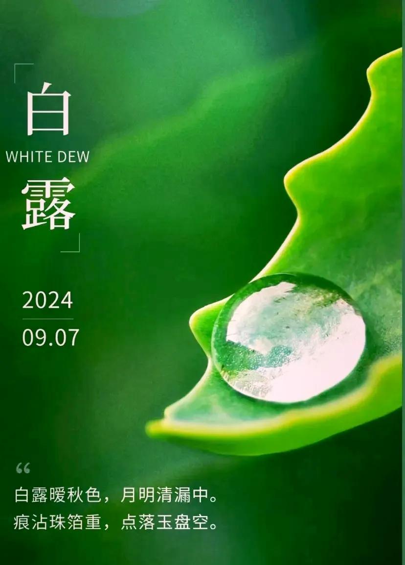 白露
带着秋风
悄然而至
告别炎炎酷暑
一面辞别盛暑
一面迎接丰收
白露时节
季