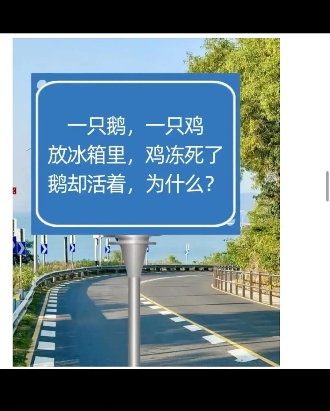 为什么？？？？