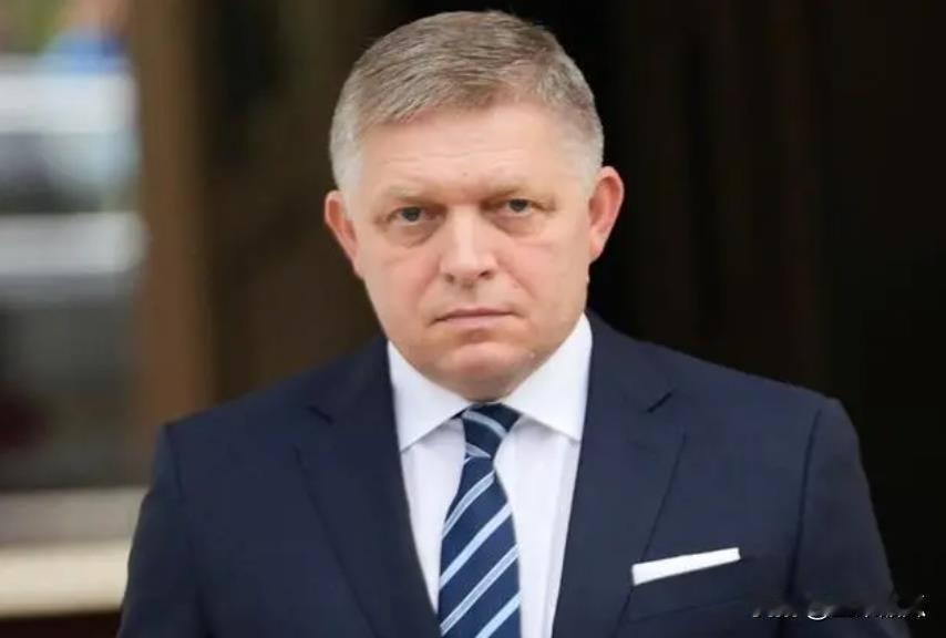 斯洛伐克总理菲佐提出解决乌克兰问题的方案，那就是乌克兰放弃顿涅茨克，卢甘斯克，克