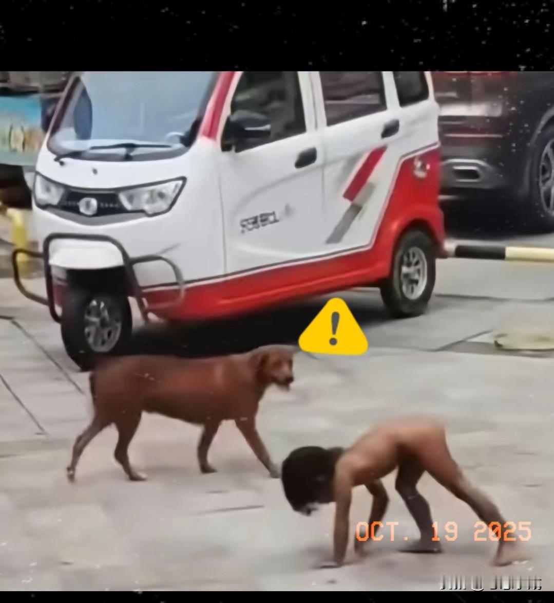 3岁多的孩子赤裸着爬，
行为像犬类，
父母却觉得理所当然，父亲大学学历，母亲还是
