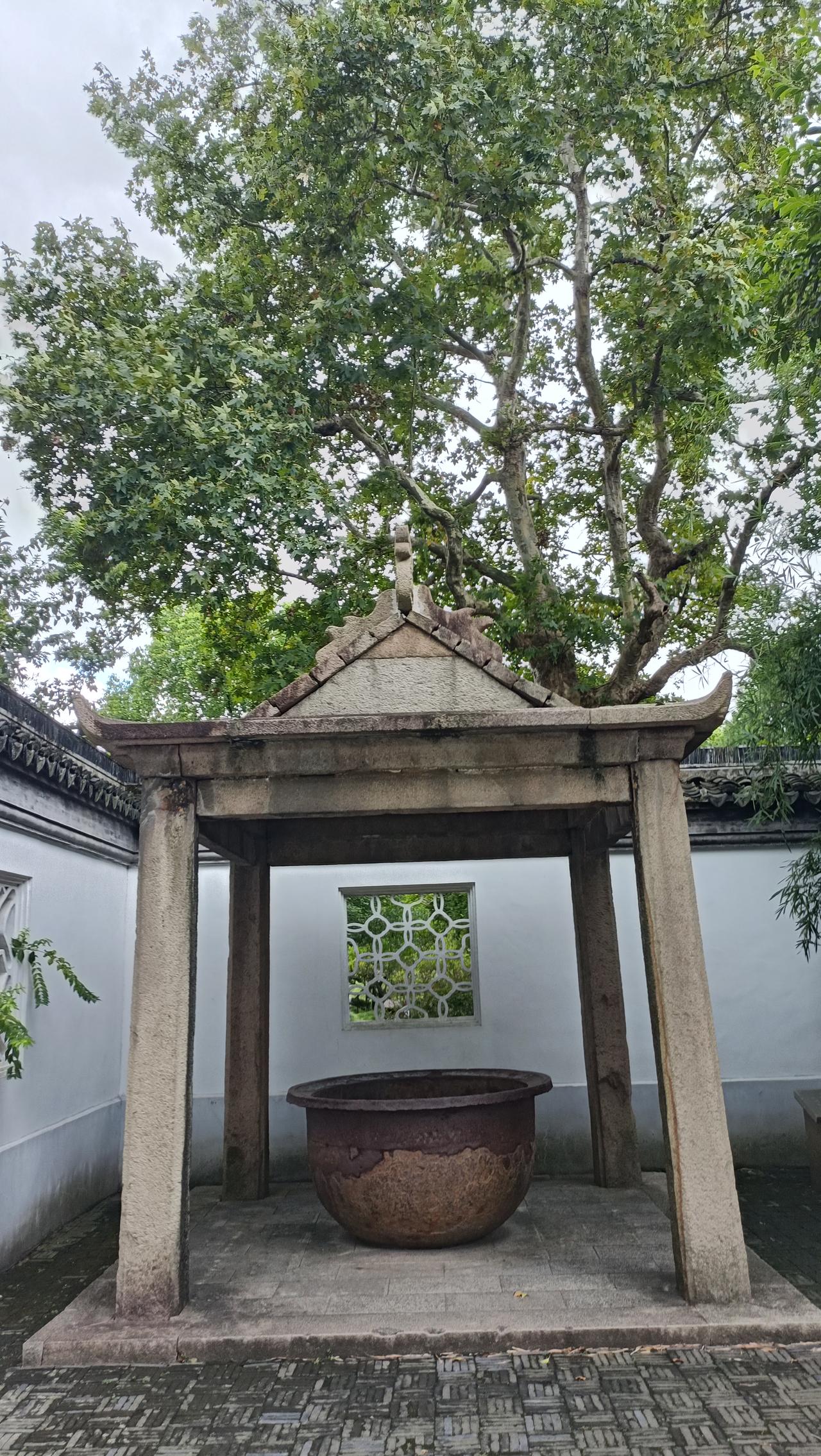 老树下那个大石缸，就像岁月的守护者，静静地待在清幽之地。缸身有些斑驳，刻满了时光