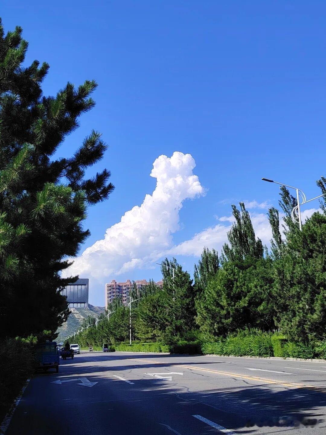 看湖海澄澈，看草原辽阔
追公路自由，品人间烟火
大美新疆。